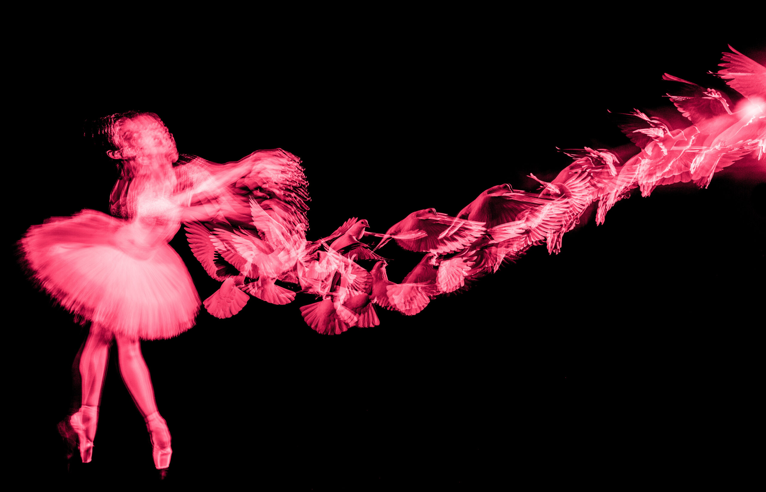 Untitled-4 (1)